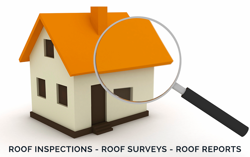 roof-surveys